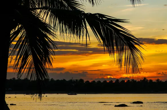 Sunset over the lovely Passikudah beach with silhouette of palm tree in Sri Lanka