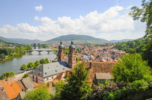 High view of Miltenberg, Germany in the day