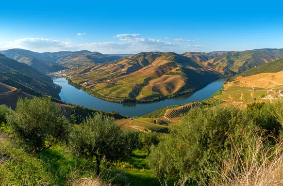 Green grass hills and valley with the Douro River near the village of Pinhao, Portugal