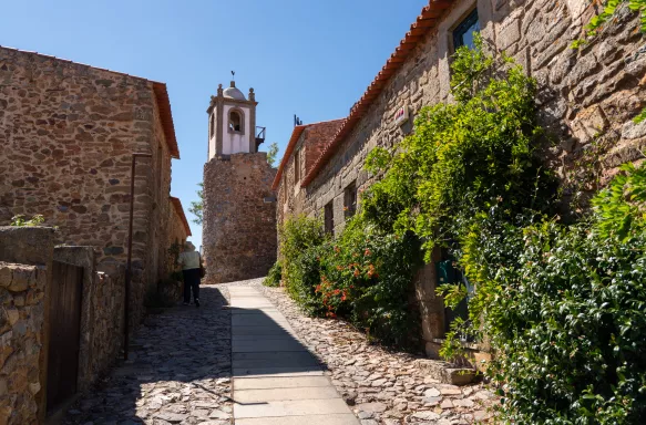 Narrow cobbled street and old stone houses in Castelo Rodrigo, Portugal