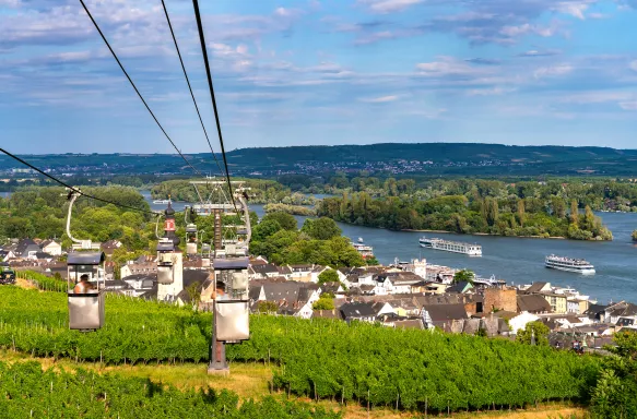 Aerial view of vineyard from cable car in Rüdesheim ,Germany