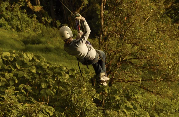 Person zip-lining in forest area