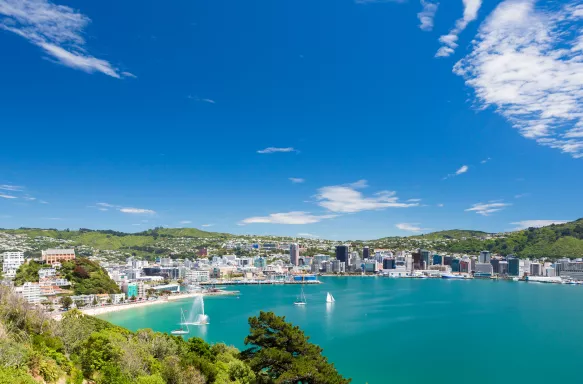 Wellington in New Zealand, during summer.