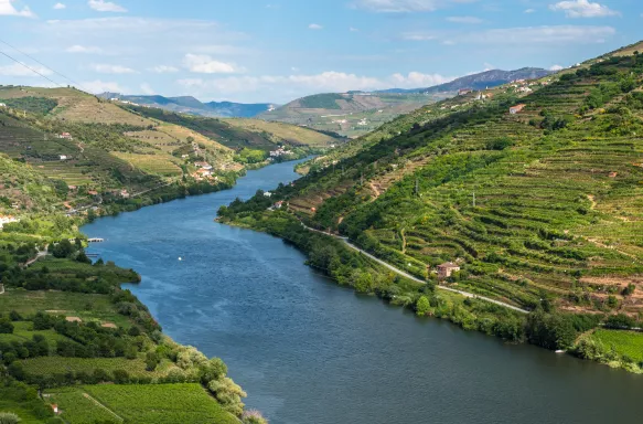 Vineyards and Landscape of the Douro river region in Portugal