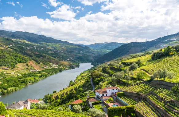 Vineyards and Landscape of the Douro river region in Portugal