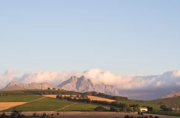 Landscape in Stellenbosch, Western Cape, South Africa, at sunset.