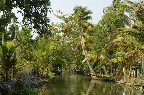 Palm tree lined canal in Kerala state with a small, wooden fishing boat