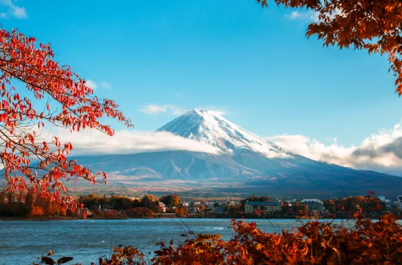 Colourful Autumn trees and a distant view of Mount Fuji, Japan