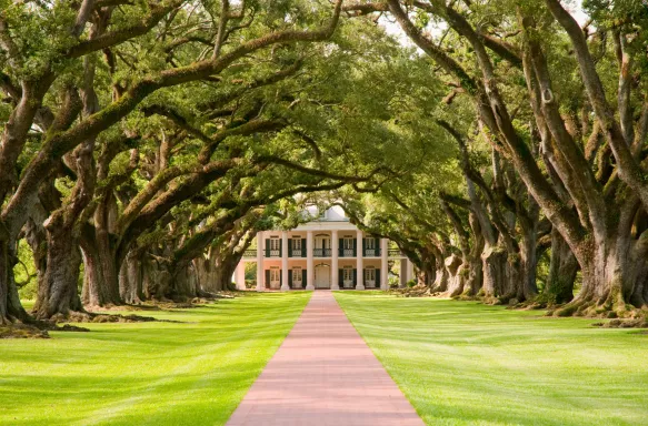 The Oak Alley Plantation in Vacherie, Louisiana