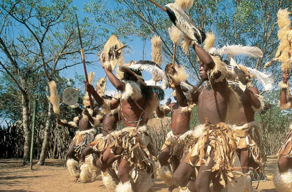 A group of Zulu dancers in motion as they perform in South Africa