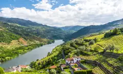 Vineyards and Landscape of the Douro river region in Portugal