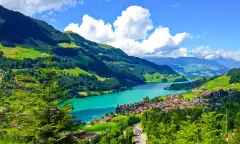 A scenic view or Swiss countryside as seen from a passing train