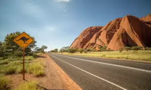 Kangaroo warning sign in the outback, Australia
