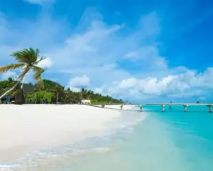 maldives beach