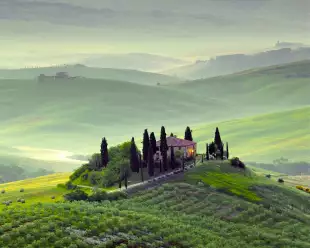 Early morning shot of a Tuscany wineyard