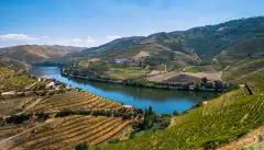 Douro Valley with its river in the middle of the vineyards in Portugal