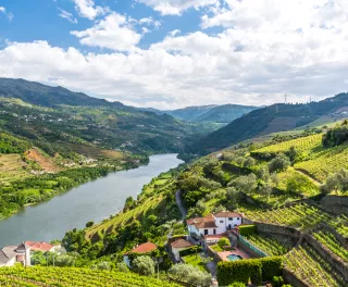 Vineyards and Landscape of the Douro river region in Portugal