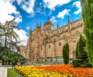 Colourful flowers in front of the Cathedral of Salamanca in Spain