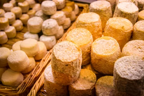 French goat cheese on display at the famous Les Halles de Lyon, France.