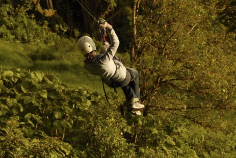 Person zip-lining in forest area